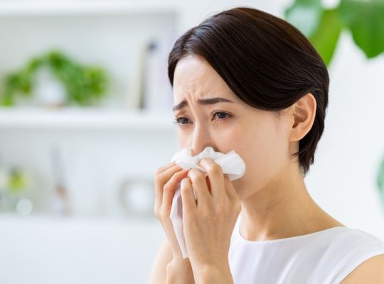 腸活　腸活プログラム　花粉症　