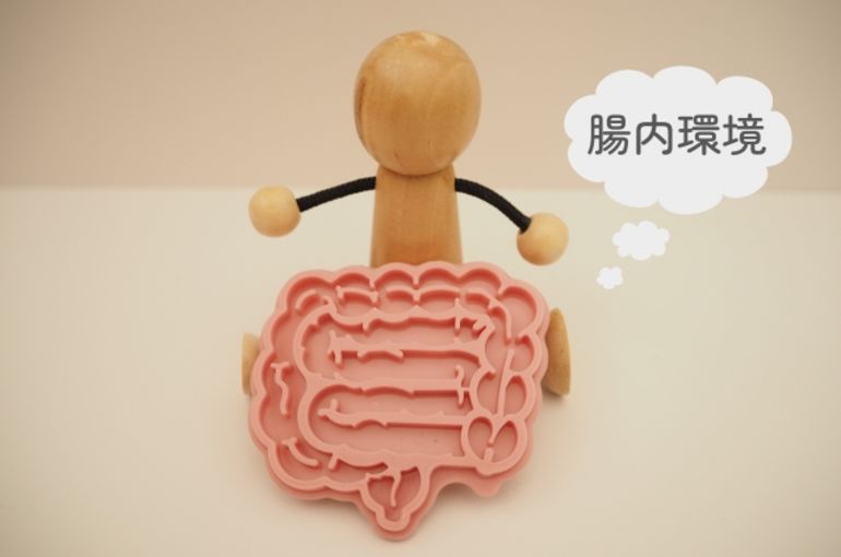 発酵食品　食物繊維　オメガ３脂肪酸　ターンオーバー