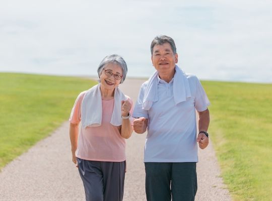 腸活　高齢者　生活習慣病　合併症