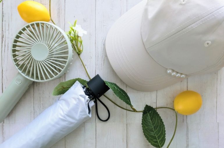 夏野菜　塩分　クエン酸　抗酸化作用